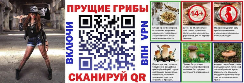 Галлюциногенные грибы Psilocybine cubensis Анапа